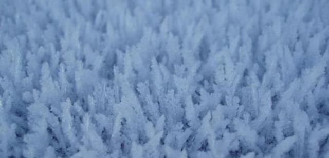 winter_frost