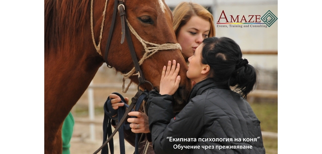Equine_assisted_learning_2